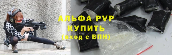 PSILOCYBIN Белокуриха