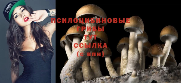 MESCALINE Беломорск
