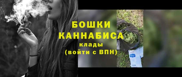 PSILOCYBIN Белокуриха