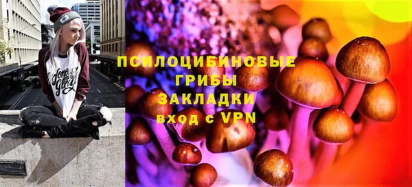герыч Козловка
