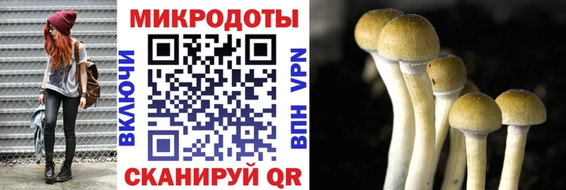 Псилоцибиновые грибы Psilocybine cubensis  blacksprut сайт  сайты даркнета официальный сайт  Гаврилов-Ям 